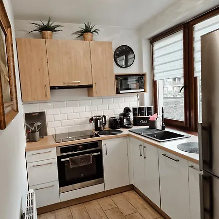 Green Terrace Centrum Apartment - Cozy Terrace, Free Parking, Netflix - Rail Station 850M * Βρότσλαβ